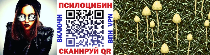 Галлюциногенные грибы Magic Shrooms  купить наркотики сайты  Берёзовка 